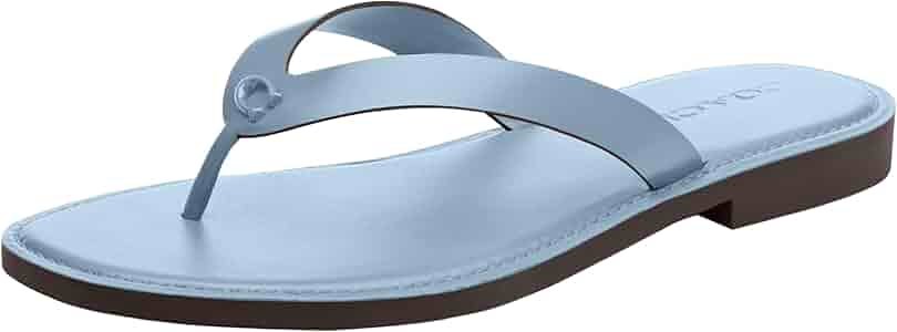 COACH ★Brianna Flip Flop ロゴ サンダル COACH® | Brianna Flip Flop In Signature Canvas